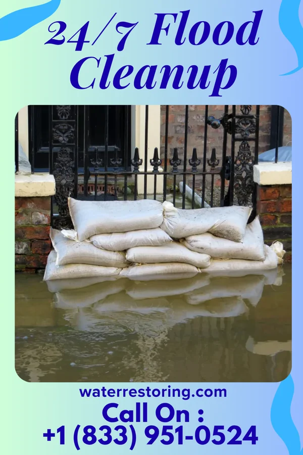 24/7 Flood Cleanup in Sea Girt, NJ