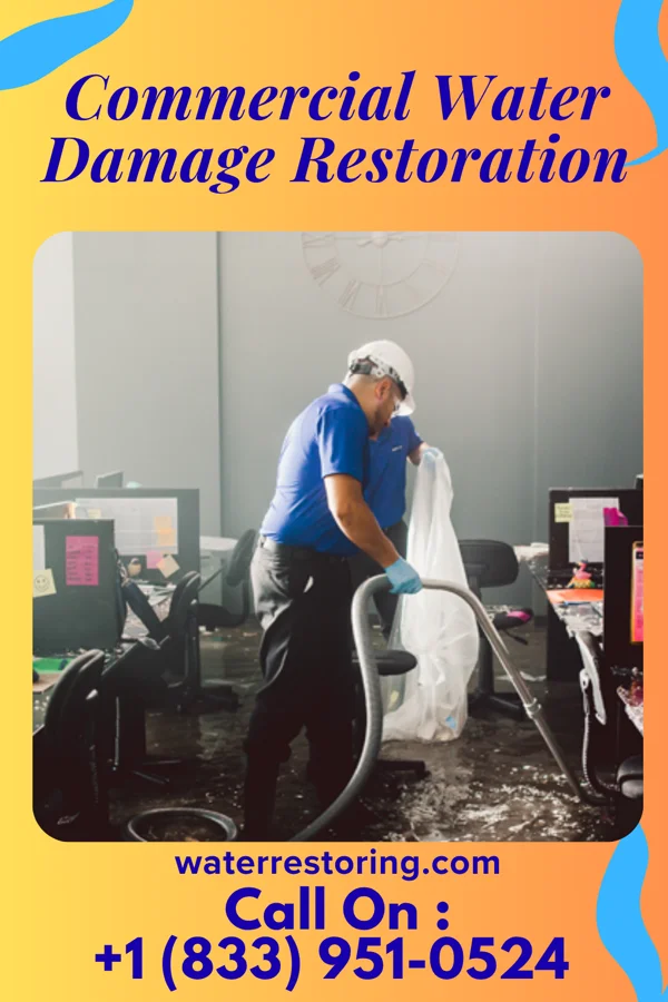 Commercial Water Damage Restoration in Sea Girt, NJ