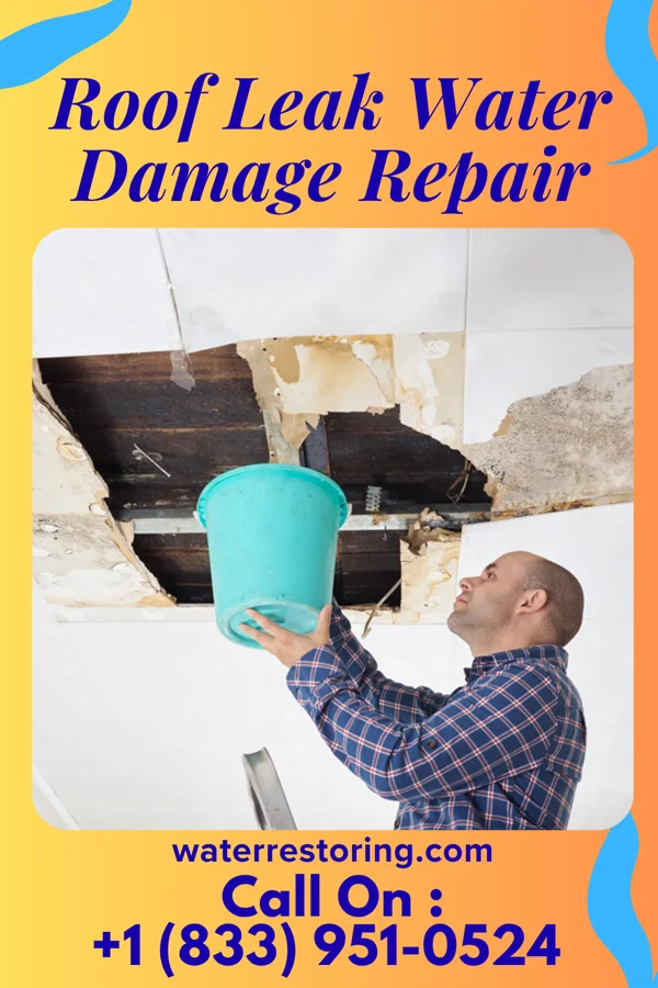 Roof Leak Water Damage Repair in Sea Girt, NJ