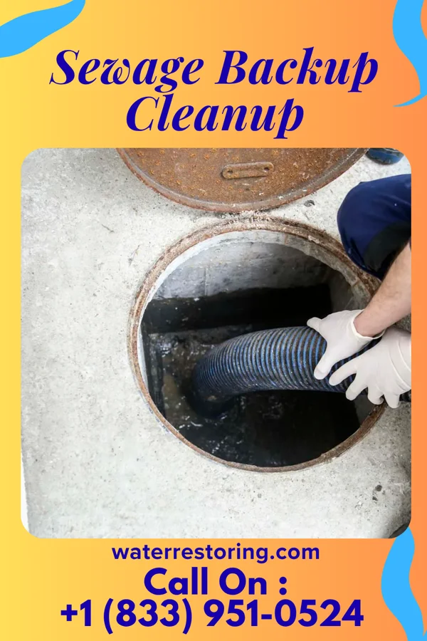 Sewage Backup Cleanup in Sea Girt, NJ