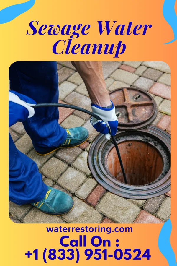 Sewage Water Cleanup in Sea Girt, NJ