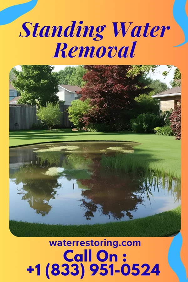 Standing Water Removal in Sea Girt, NJ